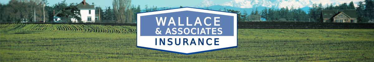 Wallace And Associates  Insurance Agency